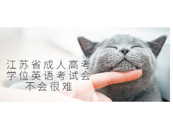 江苏省成人高考学位英语考试