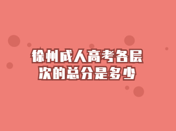 徐州成人高考总分