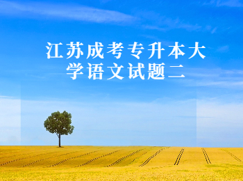 江苏成考专升本大学语文 江苏成考专升本