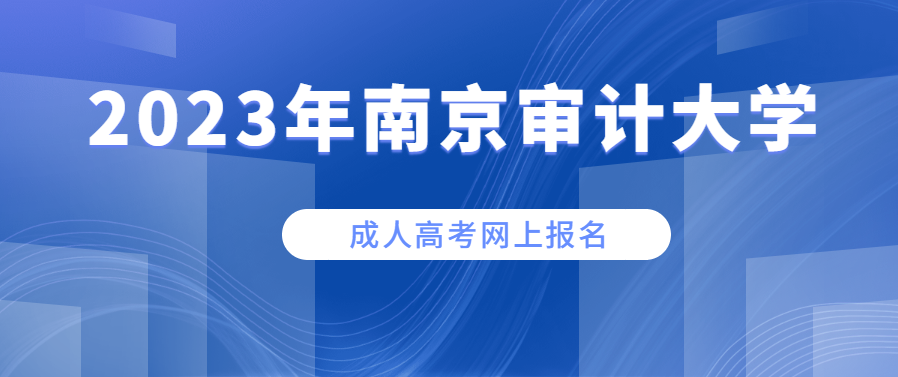 2023年南京审计大学成人高考网上报名