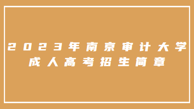 2023年南京审计大学成人高考招生简章