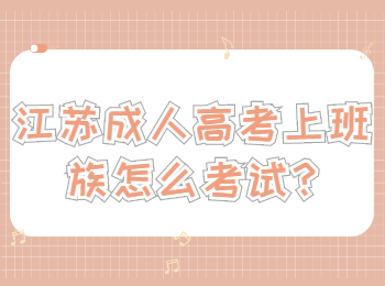 江苏成人高考上班族怎么考试