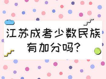 江苏成考少数民族有加分吗