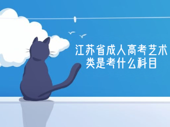 江苏省成人高考艺术类